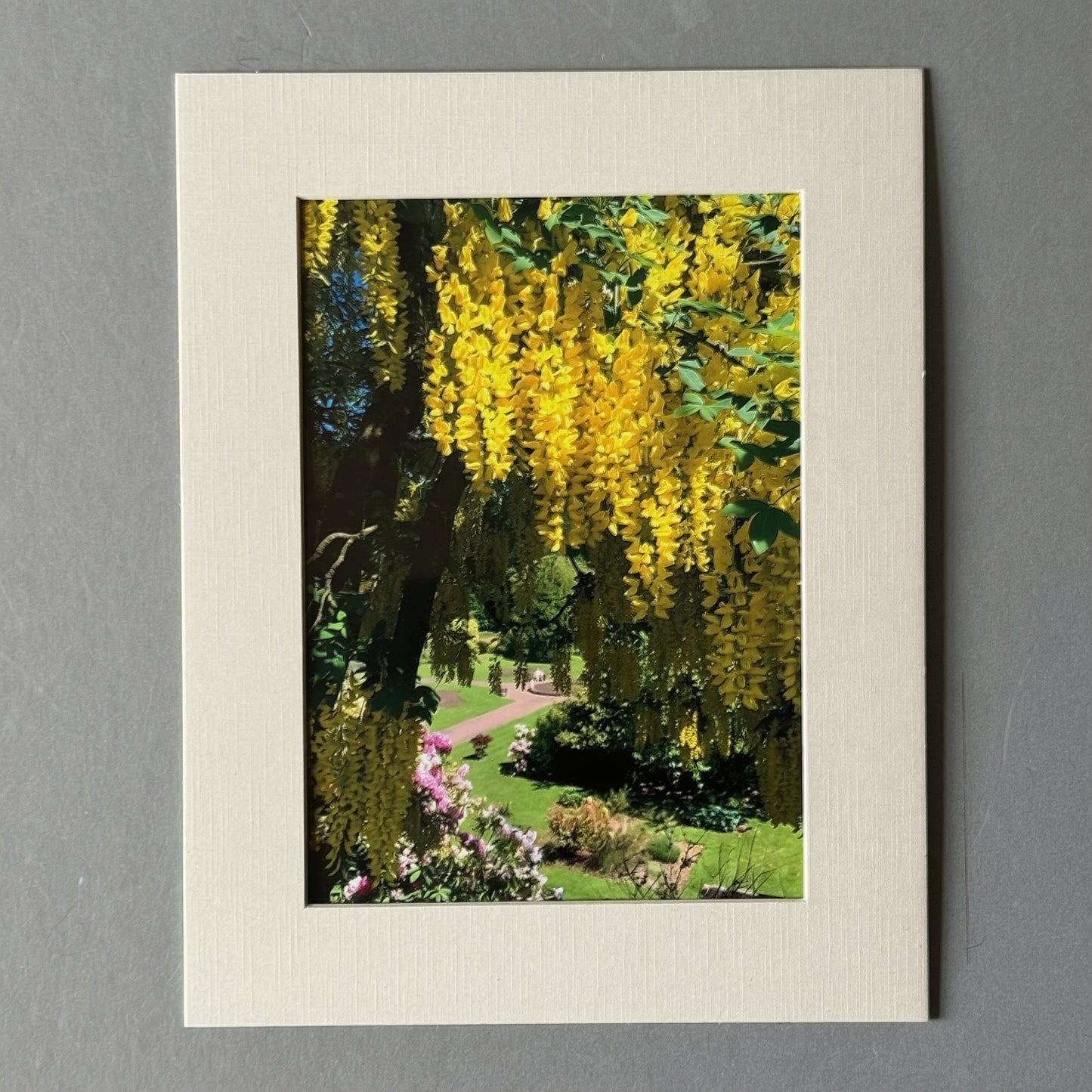 Sunken Garden at Castledykes Park print