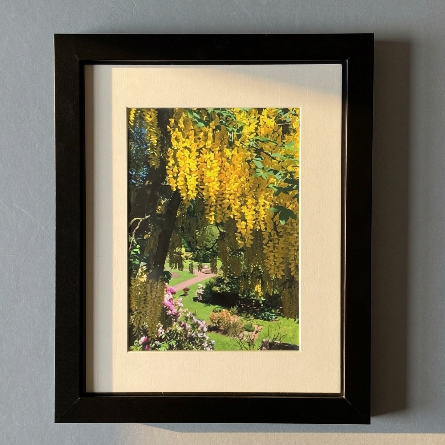 Sunken Garden at Castledykes Park framed print