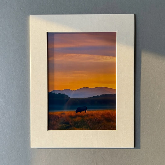 Gatelawbridge print